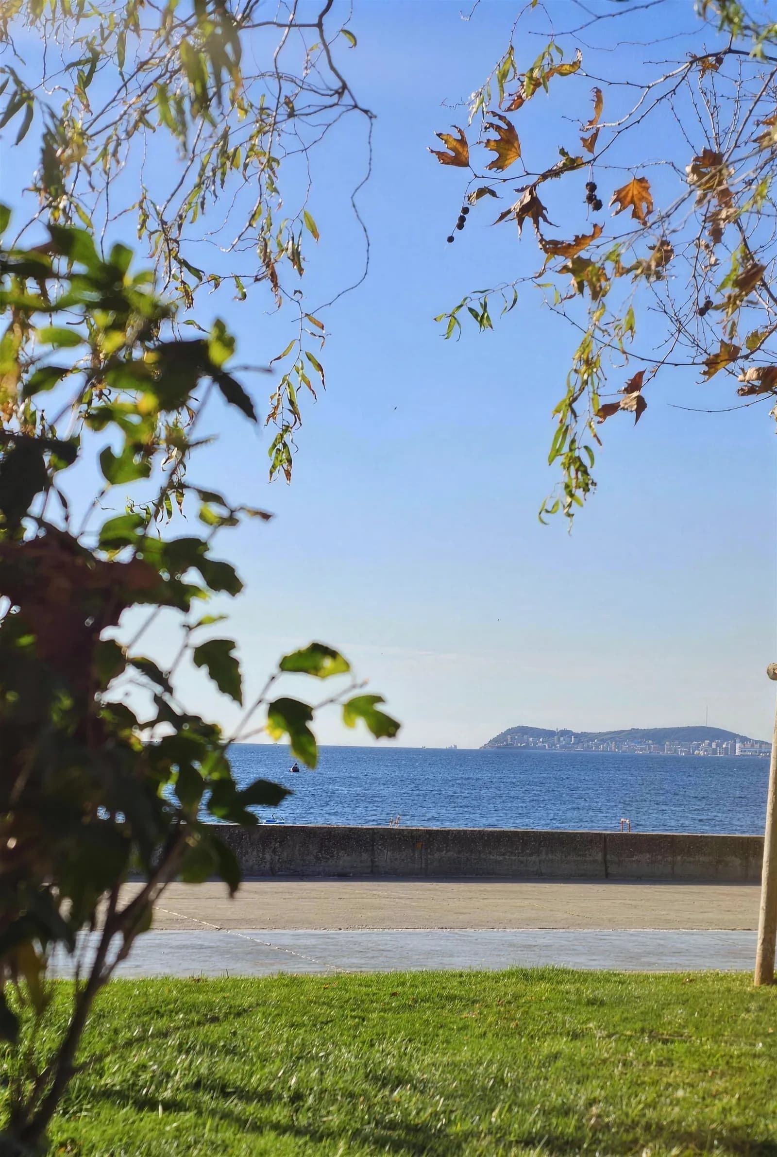 Maltepe şubesinden yaprakların arasından deniz ve Adalar